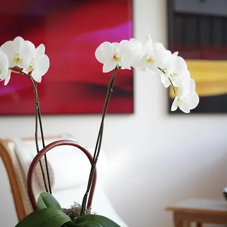 Hotell Stadt Hamburg Westerland